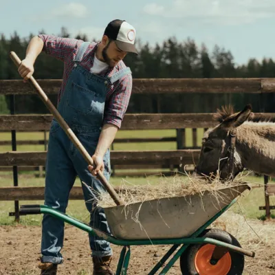 agriculteur nourrit âne
